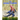 The Agama Lizard: Do Your Kids Know This?: A Children's Picture Book