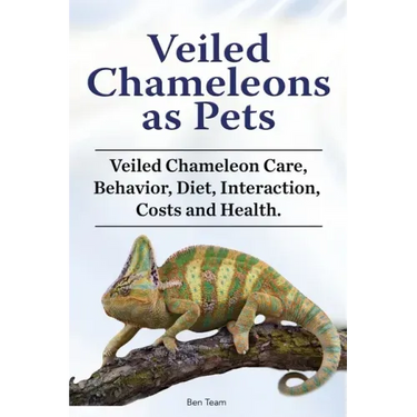 Veiled Chameleons as Pets. Veiled Chameleon Care, Behavior, Diet, Interaction, Costs and Health.
