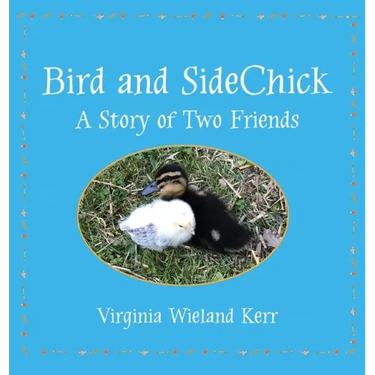 Bird and SideChick: A Story of Two Friends