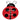 Rule: No Ladybugs In School