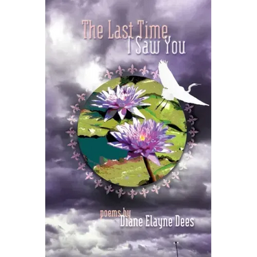 The Last Time I Saw You
