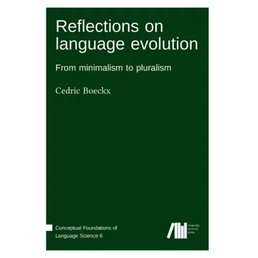 Reflections on language evolution