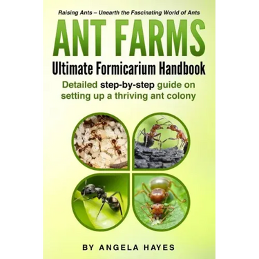 Ant Farms - The Ultimate Formicarium Handbook: Detailed Step-by-Step Guide to Setting Up a Thriving Ant Colony