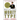 Master Your Money Type: Using Your Financial Personality to Create a Life of Wealth and Freedom