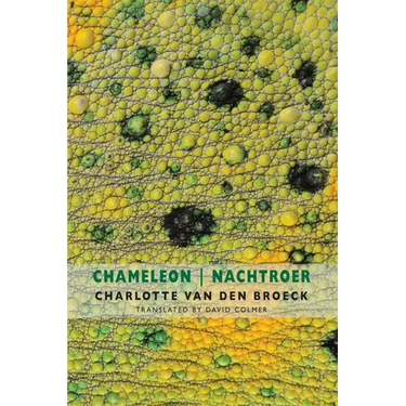 Chameleon / Nachtroer