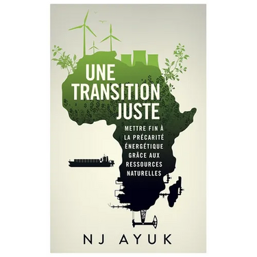 Une Transition Juste: Résorber La Pauvreté Énergétique Grâce Au Mix Énergétique