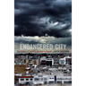Endangered City: The Politics of Security and Risk in Bogotá