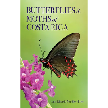 Butterflies and Moths of Costa Rica