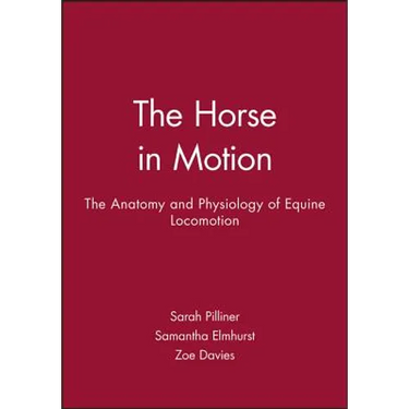 Horse Motion