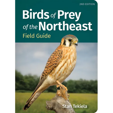 Birds of Prey of the Northeast Field Guide