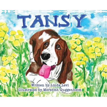 Tansy