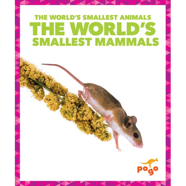 The World's Smallest Mammals