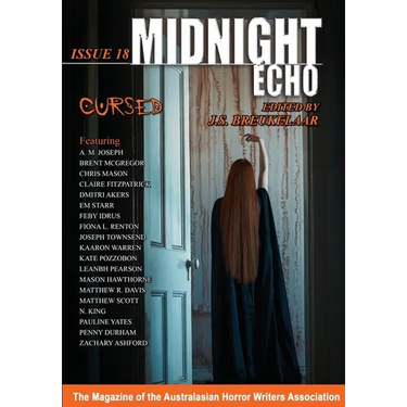 Midnight Echo Issue 18
