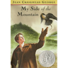 My Side of the Mountain