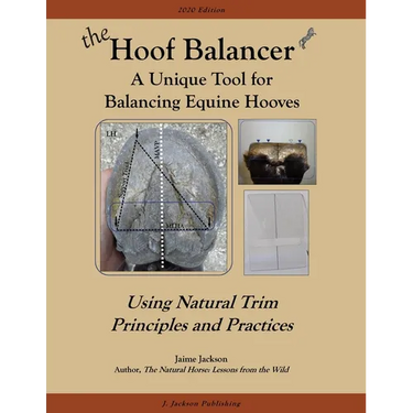 The Hoof Balancer: A Unique Tool for Balancing Equine Hooves
