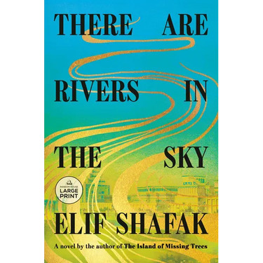 There Are Rivers in the Sky