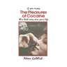 The Pleasures of Cocaine