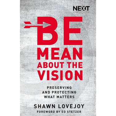 The Be Mean about the Vision: Preserving and Protecting What Matters
