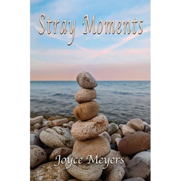 Stray Moments