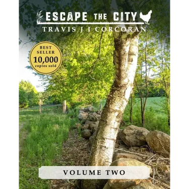 Escape the City volume 2