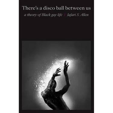There's a Disco Ball Between Us: A Theory of Black Gay Life