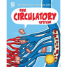 The Circulatory System