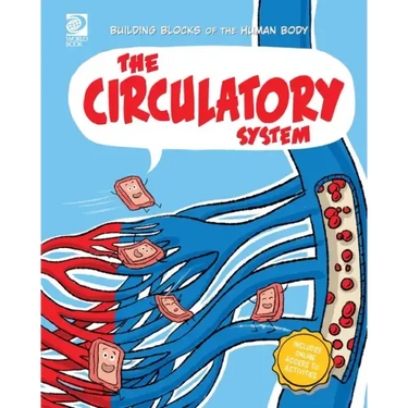 The Circulatory System