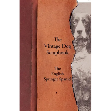 The Vintage Dog Scrapbook - The English Springer Spaniel