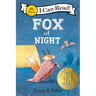 Fox at Night