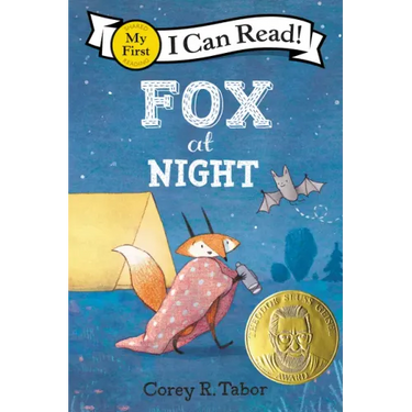 Fox at Night