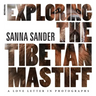 Exploring the Tibetan Mastiff: A Love Letter in Photographs
