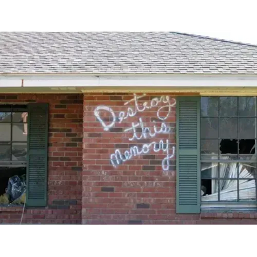 Richard Misrach: Destroy This Memory
