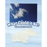 What Could It Be?