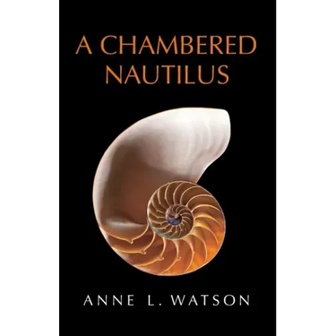 A Chambered Nautilus