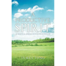 A Productive Spirit: An Analytical Approach to Investing in Your Life