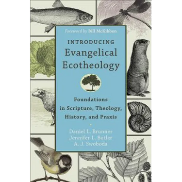 Introducing Evangelical Ecotheology: Foundations in Scripture, Theology, History, and PRAXIS