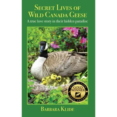 Secret Lives of Wild Canada Geese: A true love story in their hidden paradise