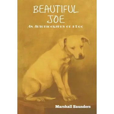 Beautiful Joe
