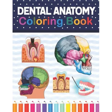 Dental Anatomy Coloring Book: Fun and Easy Adult Coloring Book for Dental Assistants, Dental Students, Dental Hygienists, Dental Therapists, Periodo
