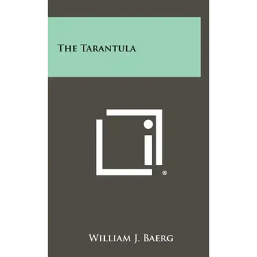 The Tarantula