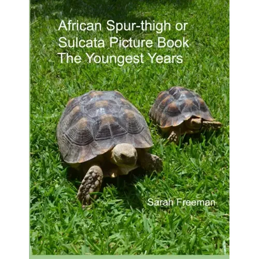 African Spur-thigh or Sulcata Picture Book - The Youngest Years