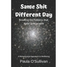 Same Shit Different Day: Breaking the Patterns that Make us Miserable - A metaphysical approach to wellbeing
