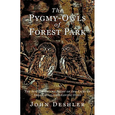 The Pygmy-Owls of Forest Park