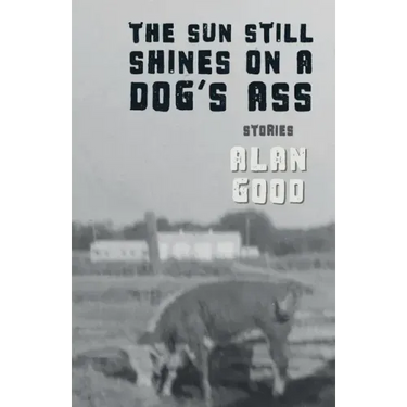 The Sun Still Shines on a Dog's Ass