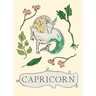 Capricorn