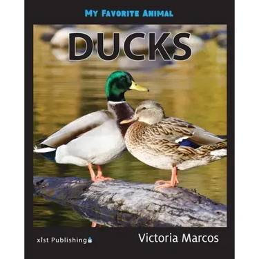 My Favorite Animal: Ducks