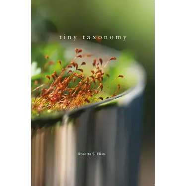 Tiny Taxonomy: Individual Plants in Landscape Architecture