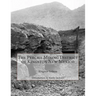 The Percha Mining District of Kingston New Mexico