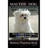 Maltese Dog, Maltese Training Book for Maltese Dogs & Puppies By D!G THIS DOG Training, From the Car Ride Home Training Begins, Maltese Training Book