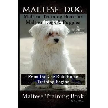 Maltese Dog, Maltese Training Book for Maltese Dogs & Puppies By D!G THIS DOG Training, From the Car Ride Home Training Begins, Maltese Training Book